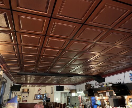 drop ceiling commercial